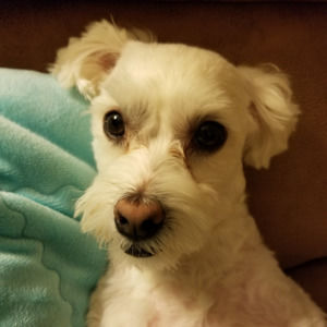 Meet your Posher, Jae